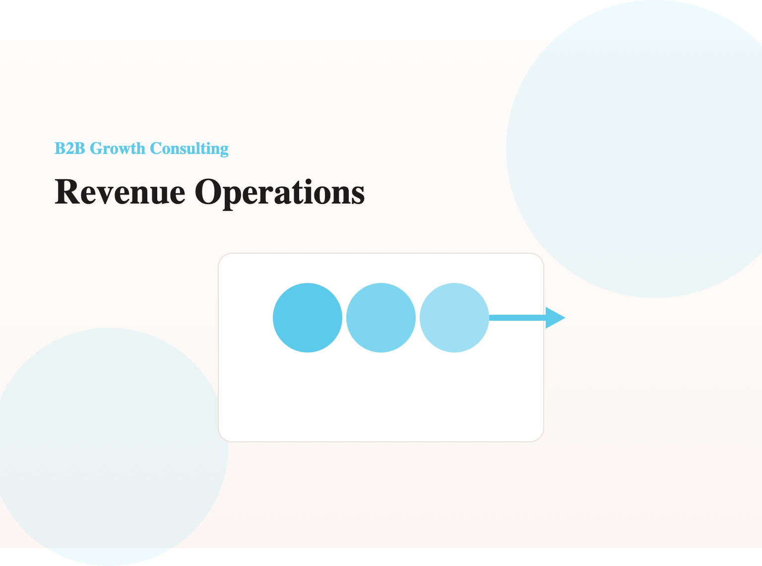 Revenue Operations (RevOps) Consulting