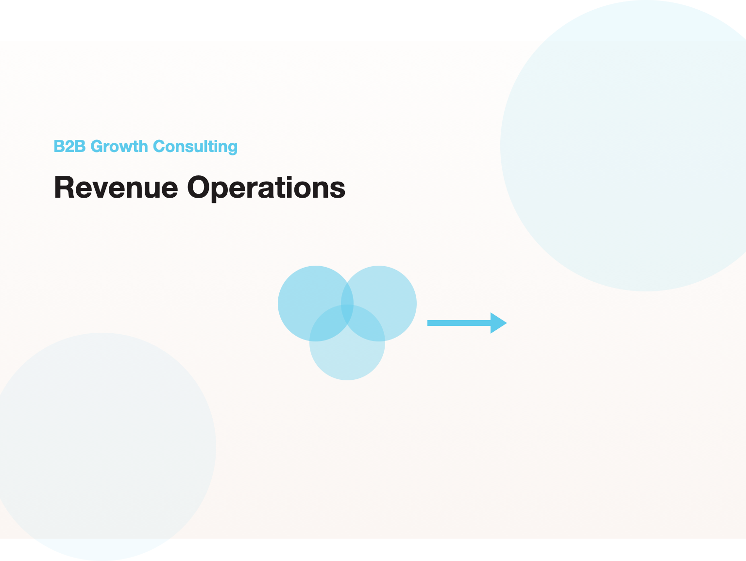 Revenue Operations (RevOps) Consulting