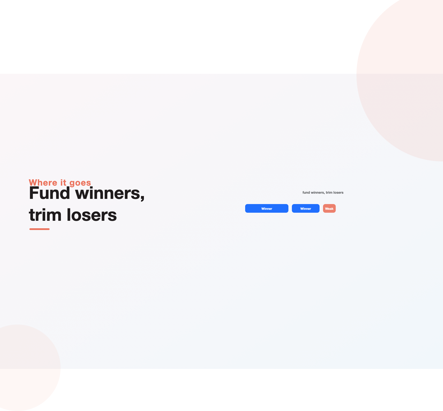 Google Ads budget concentrated on winning campaigns and trimmed from weak ones